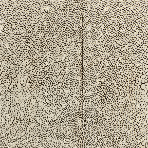 Mist Shagreen